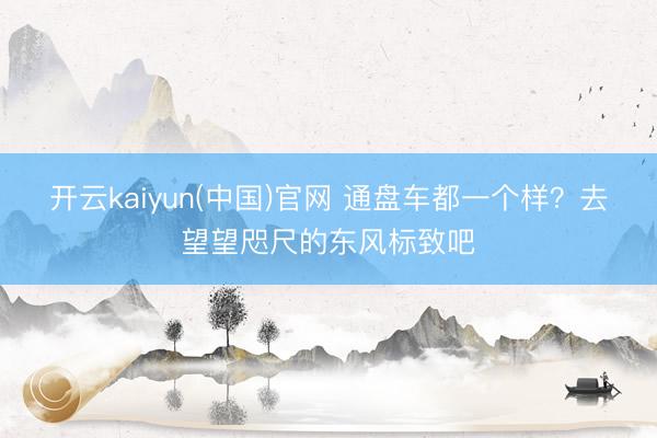 开云kaiyun(中国)官网 通盘车都一个样?去望望咫尺的东风标致吧