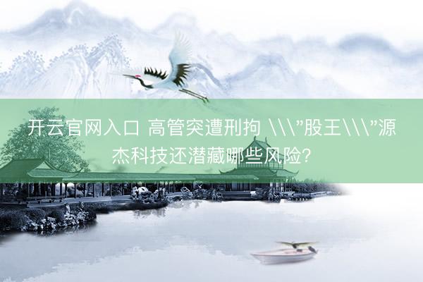 开云官网入口 高管突遭刑拘 \