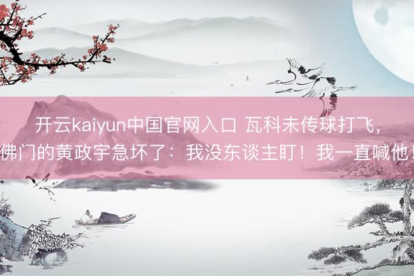开云kaiyun中国官网入口 瓦科未传球打飞，佛门的黄政宇急坏了：我没东谈主盯！我一直喊他！