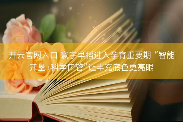 开云官网入口 寰宇早稻进入孕育重要期 “智能开垦+科学田管”让丰充底色更亮眼