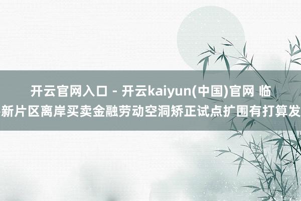 开云官网入口 - 开云kaiyun(中国)官网 临港新片区离岸买卖金融劳动空洞矫正试点扩围有打算发布